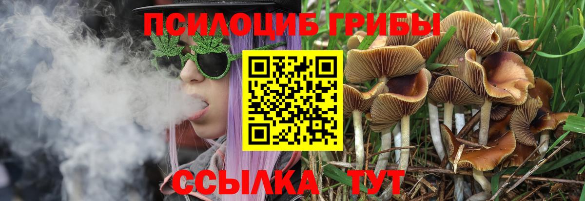 Ачинск  Галлюциногенные грибы прущие грибы  Вход с VPN 