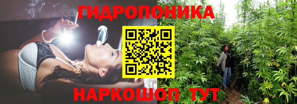 Шишки марихуана AK-47  Шишки марихуана план  Ачинск  Шишки марихуана VHQ  Конопля Amnesia  Вход с VPN 